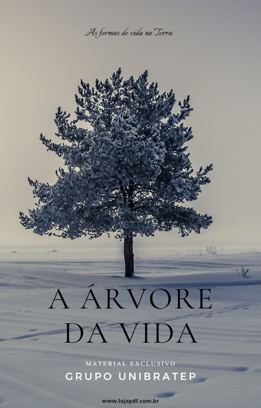A Árvore da Vida